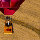 Illustration for article titled The Power Of Love: Phil Margera Is Piloting A Hot-Air Balloon To London To Win Back The Heart Of Meghan Markle And Take Her On A Romantic Vacation